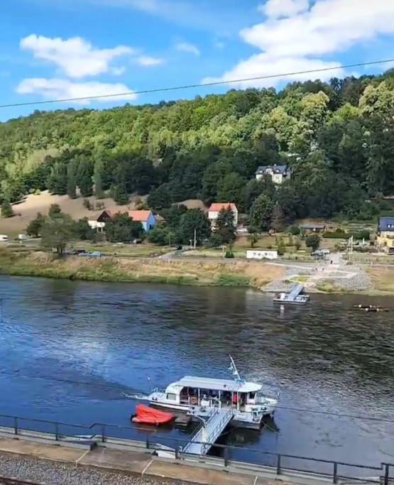 Wohnung Elbblick Königstein Esterno foto