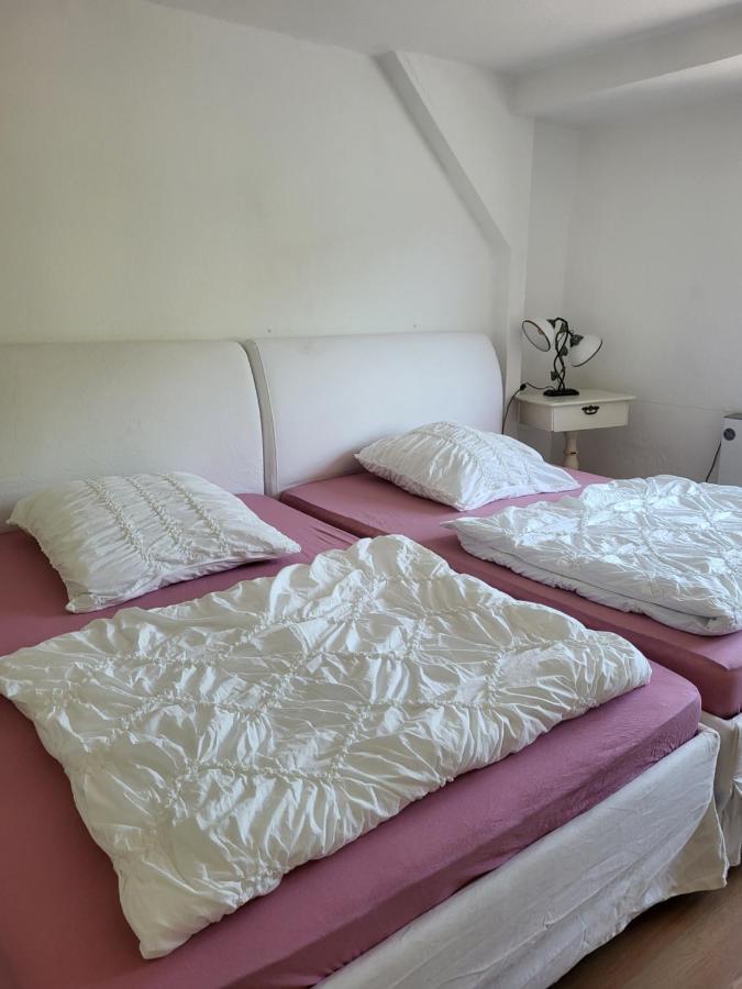 Appartamento Elbblick Königstein Esterno foto