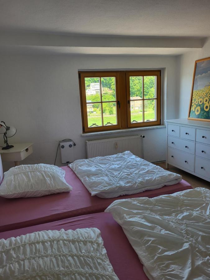 Wohnung Elbblick Königstein Esterno foto